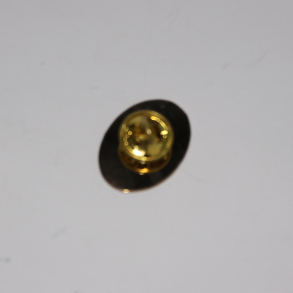 Mer Gold Metal Pin