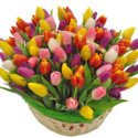 100 Bright Tulips