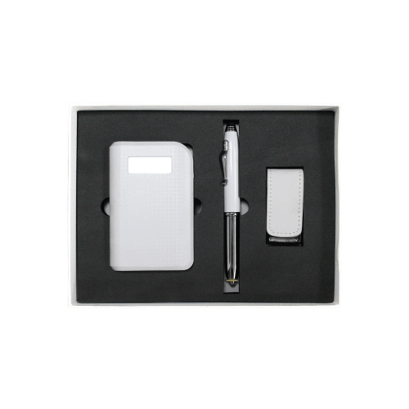 Technology Gift Set with Metal Pen