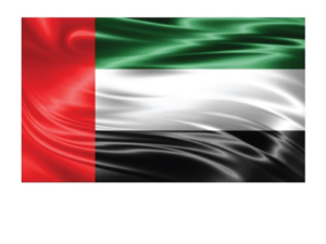 UAE Flag Satin Material UAE